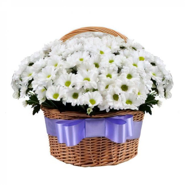 Ромашковая поляна Ромашковая поляна